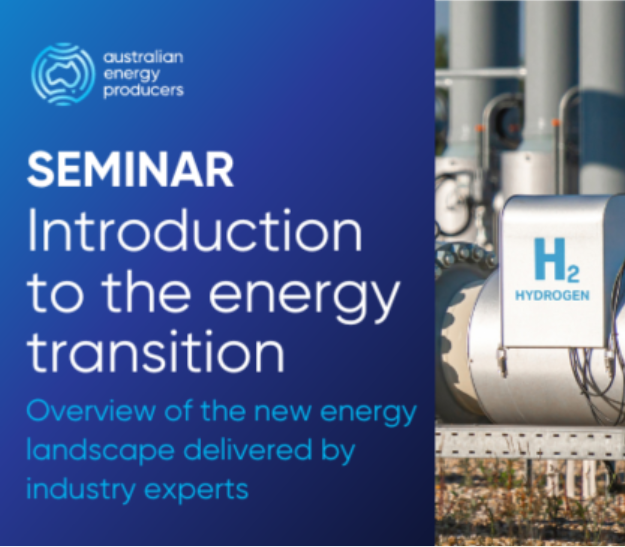 Untitled design (24)